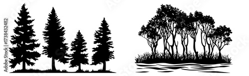 Diverse Tree Silhouettes: Coniferous Forest and Lakeside Deciduous Trees Vector Illustration Set