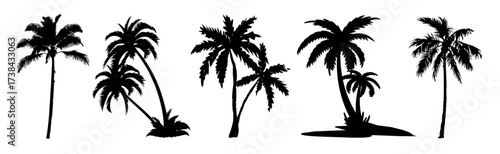 Diverse collection of elegant palm tree silhouettes for tropical designs and exotic summer themes
