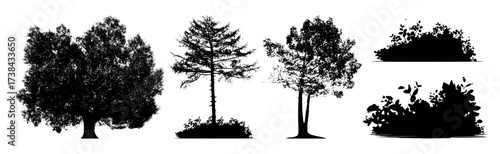 Diverse collection of natural black silhouette tree and bush elements for design projects and