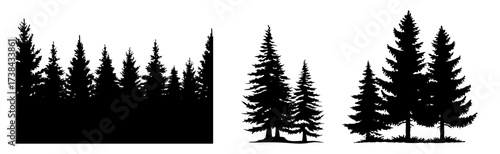 Black silhouettes of diverse pine and evergreen trees forming a forest border and individual