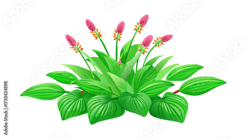 Stock illustration of flowering plant with green leaves and pink flowers botanical vector design asset