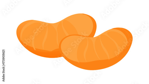 Fresh mandarin orange segments healthy fruit citrus slices vitamin c snack food nutrition illustration