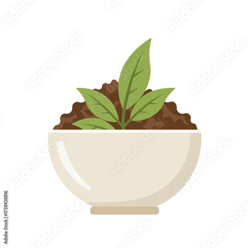 Tea leaves planted in a ceramic bowl with dried fermented leaves - infusion.