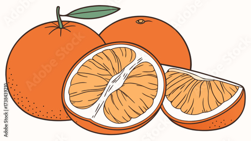 Illustration of fresh oranges whole and sliced for healthy eating and vitamin c intake concept