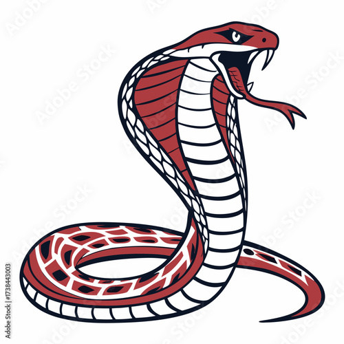 Hand Drawing Cobra Vector Illustration isolated on white background.