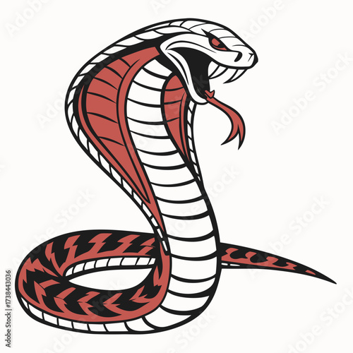 Hand Drawing Cobra Vector Illustration isolated on white background.