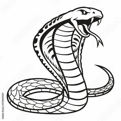 Hand Drawing Cobra Vector Illustration isolated on white background.