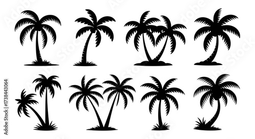 Palm Tree Silhouette Set Collection Vector Illustration