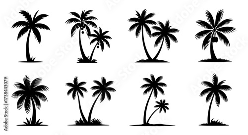 Palm Tree Silhouette Set Collection Vector Illustration