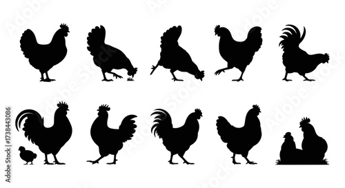 Hen Silhouette Set Collection Vector Illustration