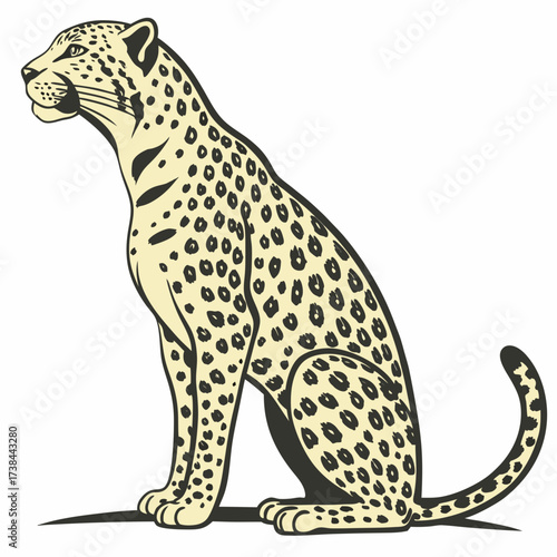 Jaguar Image vector. Spotted Jaguar Sitting Vector Image on white background.