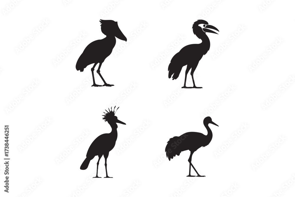 Obraz premium Four silhouette bird poses on white background