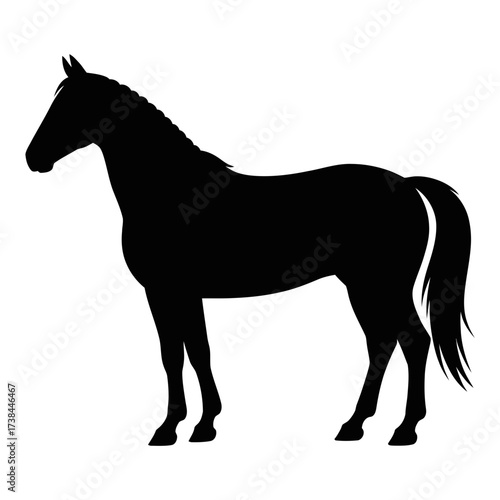 Black horse silhouette equine animal vector illustration