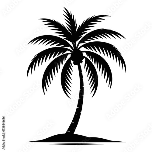 Black palm tree silhouette vector graphic illustration