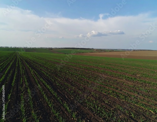 Panoramic view of a field in early spring
