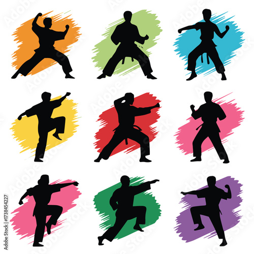 dynamic martial arts silhouettes set nine kicks punches stances colorful ink brush backgrounds