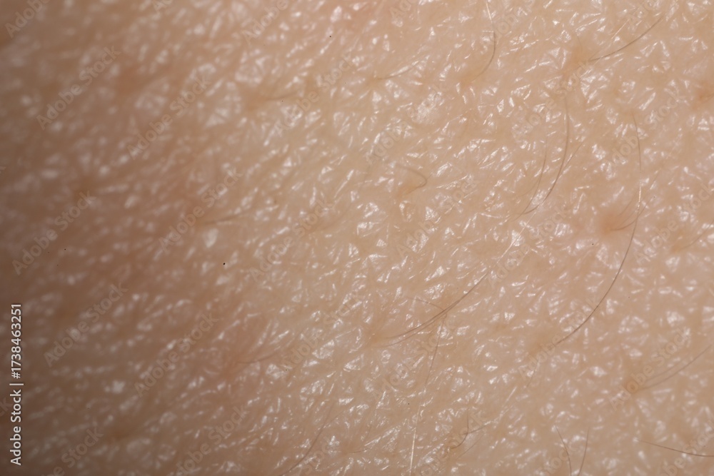 Fototapeta premium Macro view of human skin as background