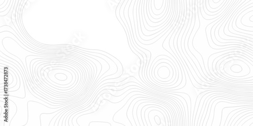 Abstract minimal The pattern discovery vector topo map creative discovery White wave grid stripe line map topography. vector geographic contour mounted map background.	