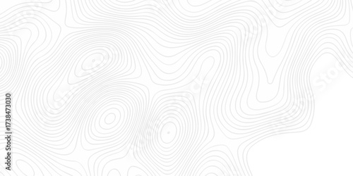 Abstract minimal The pattern discovery vector topo map creative discovery White wave grid stripe line map topography. vector geographic contour mounted map background.	