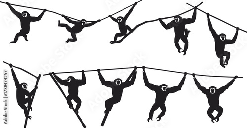 Silhouette illustration of monkeys hanging and swinging on branches, wild jungle primates climbing trees, vector animal design for wildlife nature concept