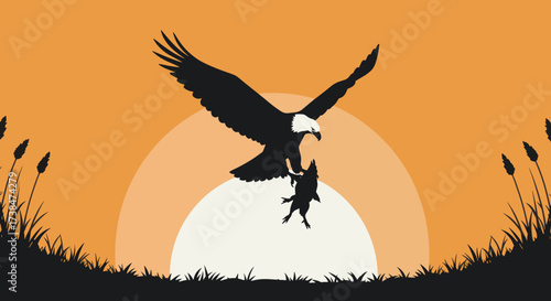 Bald Eagle Carrying Prey in its Talons Against a Sunset.