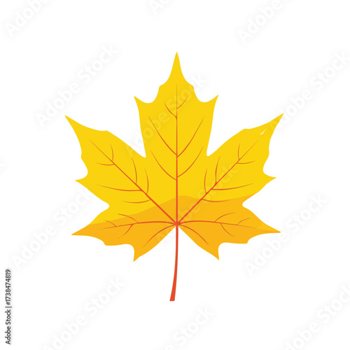 Autumn leaf vector design