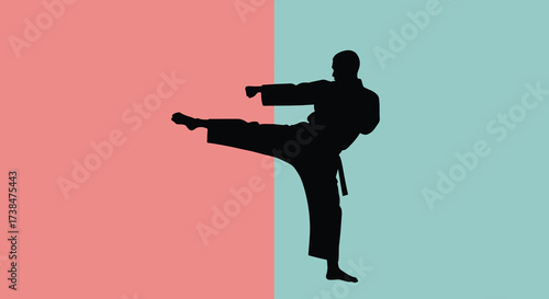 Silhouette of a person performing a martial arts kick against a split background.