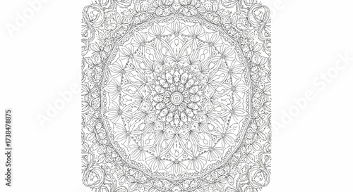Intricate Floral Mandala Line Art Coloring Page