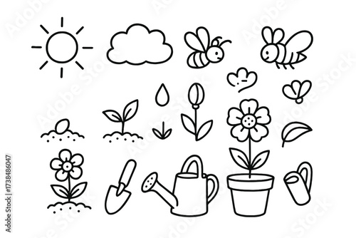 Flower Growth Diagram. Hand-drawn doodle illustration Flower growth stages seed, sprout, stem, bud, flower, leaf, sun, droplet, soil, pot, shovel, watering