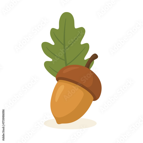 Acorn with green oak leaf illustration