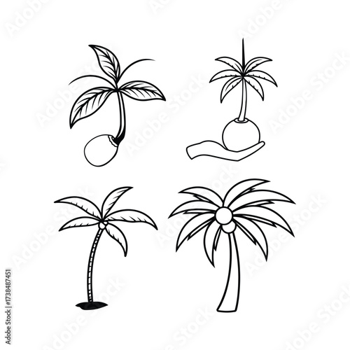 coconut tree seed to bloom bundle vector illustration