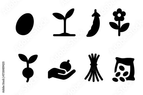 Plant Growth Icons. Solid, filled icon set of plant growth stages: seed, sprout, green bean pod, flowering, fruiting, harvesting, drying, seed saving. [Line