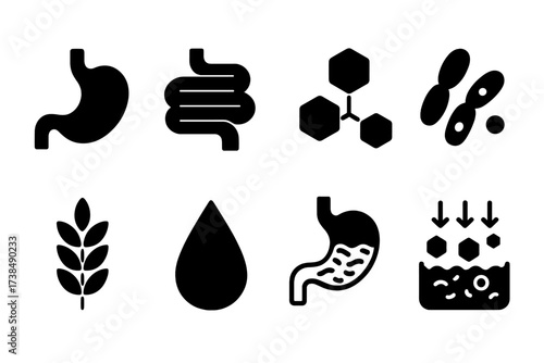 Digestive System Icons. Solid, filled icon set of nourishment digestion: stomach, intestines, enzymes, probiotics, fiber, water, digestion process, nutrient