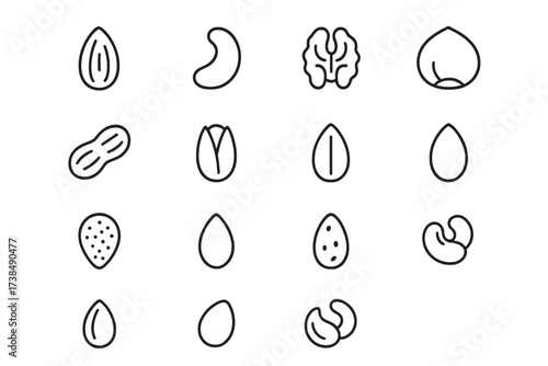 Nut and Seed Icons. Nuts and seeds. Line icon set of nuts and seeds: almond, cashew, walnut, hazelnut, peanut, pistachio, sunflower seed, pumpkin seed, chia