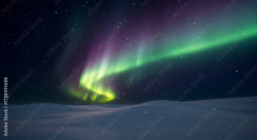 Obraz premium Celestial Dance: A mesmerizing display of the aurora borealis paints the night sky with vibrant hues above a snow-covered expanse, creating a sense of wonder and awe.