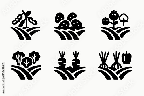 Crop Field Icons. Solid, filled icon set of crop fields: soybean field, potato field, tomato field, cotton field, lettuce field, carrot field, onion field,