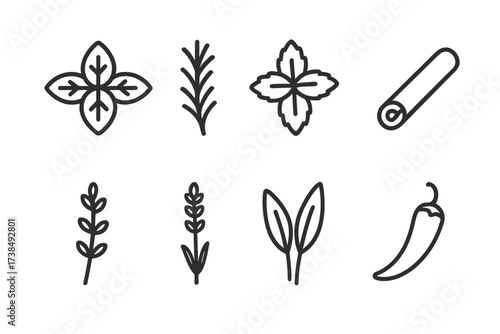 Herb and Spice Icons. Outline icon set of botanical herbs and spices: basil, rosemary, mint, cinnamon stick, thyme, lavender, sage, chili pepper. Line icons in