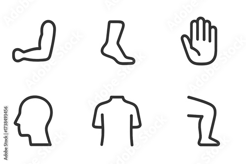 Body Movement Icons. Outline icon set of body movement parts: arm, leg, foot, hand, head, torso, shoulder, knee. Line icons in only black color, consistent