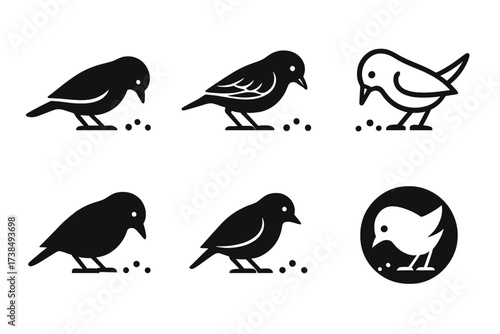 Bird Logo Variations. Feeding birds. Set Logo of nature: bird eating from ground scatter. harmonious logo variations of the same emblematic concept, each with