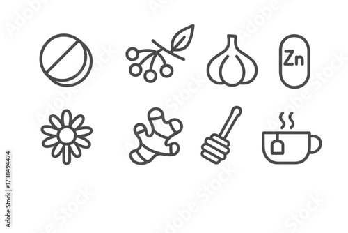 Natural Remedy Icons. Outline icon set of natural remedy immune support: vitamin C tablet, elderberry, garlic bulb, zinc capsule, echinacea flower, ginger