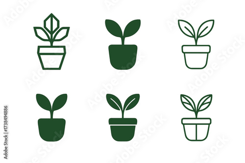 Nature Vibe Logos. Nature vibe package design. Set Logo of Nature vibe package design: potted plant. harmonious logo variations of the same emblematic concept,