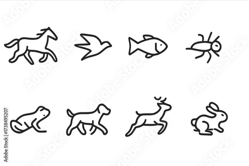 Animal and Transport Icons. Outline icon set of animal movement: running horse, flying bird, swimming fish, crawling insect, jumping frog, walking dog,