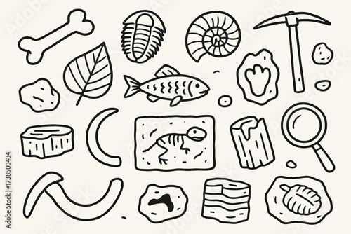 Doodle Fossil Collection. Fossil remains. Hand-drawn doodle illustration fossil remains dinosaur bone, trilobite, ammonite, leaf imprint, fish fossil, mammoth