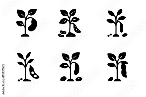 Bean Plant Icons. Solid, filled icon set of bean plant types: kidney bean plant, pinto bean plant, navy bean plant, mung bean plant, soy bean plant, black bean