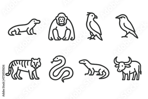 Indonesian Animal Icons. Outline icon set of Indonesian animals: Komodo dragon, orangutan, Javan hawk-eagle, Bali starling, tiger, python, monitor lizard,