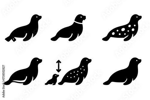 Seal Identification Icons. Solid, filled icon set of seal identification marks: tags, collar, markings, scars, spots, color patterns, size