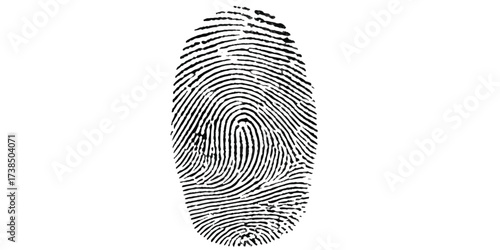 Real fingerprint in white background Engraved fingerprint pattern collection for security and design projects