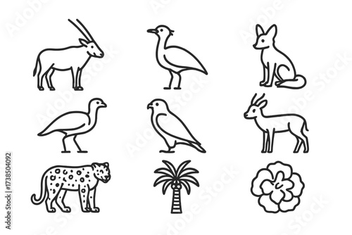 Qatari Wildlife Icons. Outline icon set of Qatari wildlife: Arabian oryx, Houbara bustard, Desert fox, Sand gazelle, Arabian leopard, Falcon, Date palm, Desert
