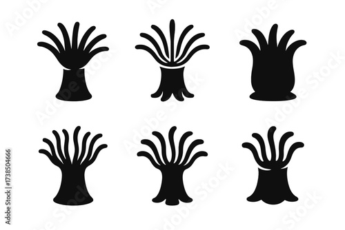 Coral Emblem Variations. underwater coral garden. Set Logo of underwater coral garden: anemone. harmonious logo variations of the same emblematic concept, each
