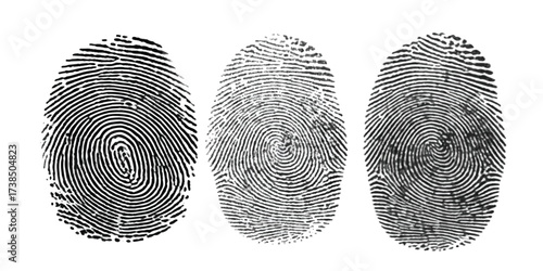 Real fingerprint in white background Engraved fingerprint pattern collection for security and design projects